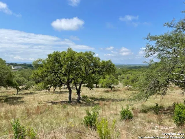 1074 Madrone Road Fischer, TX 78623